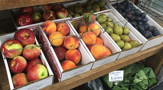 Healthy Harvest Fruit